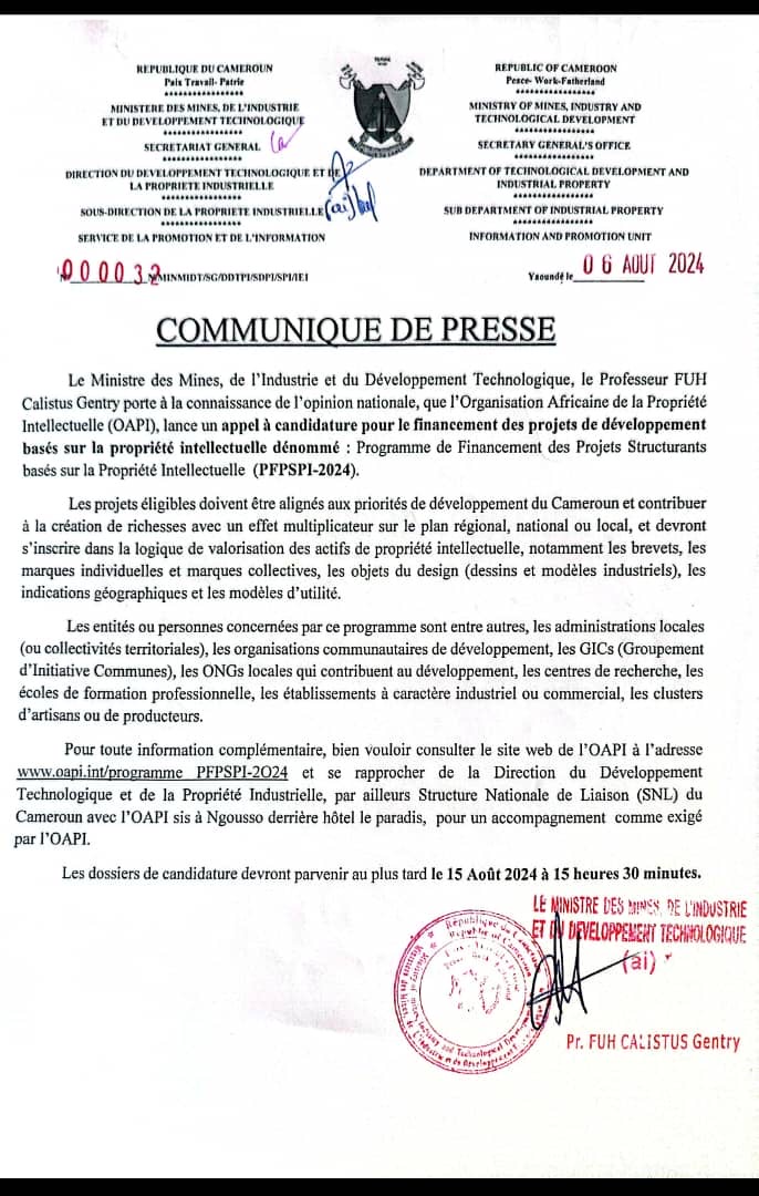Appel à candidatures : Programme de Financement des Projets Structurants Basés sur la Propriété Intellectuelle (PFPSPI-2024)