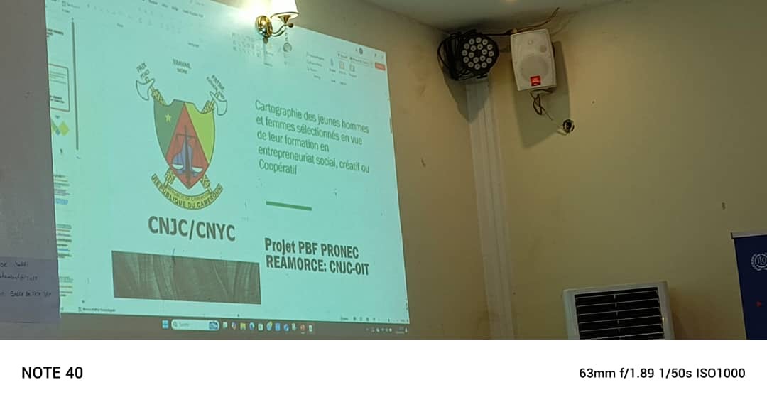 Atelier de cadrage méthodologique pour la formation des jeunes - Deuxième lot du projet PBF-PRONEC