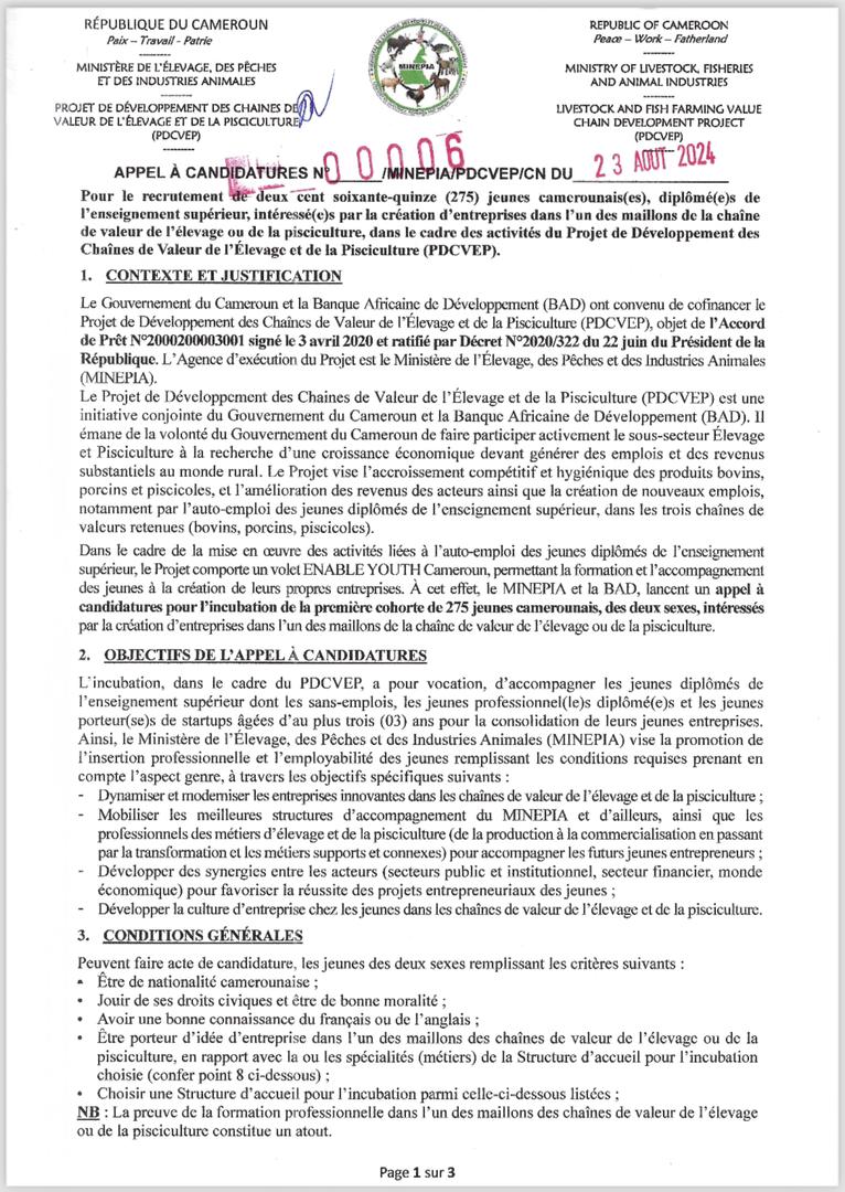 📢 Opportunité Excitante pour les Jeunes Entrepreneurs Camerounais !